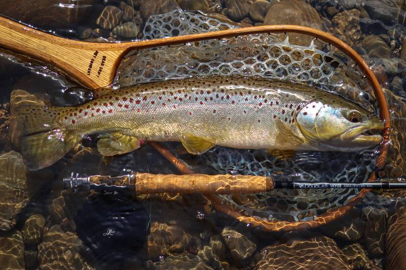 Home | PA FLY CO